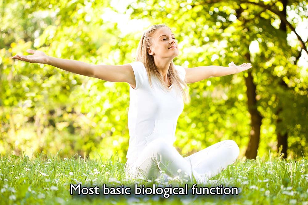 Young woman enjoying nature in park